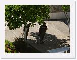 P1060746 * some armed guards * 2048 x 1536 * (1.37MB)